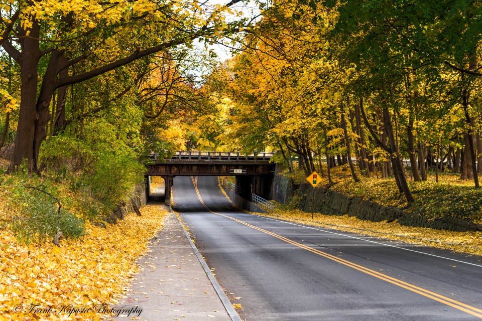 D750: Nikon 50mm: 1/125 sec @ f/2.8 – ISO 100