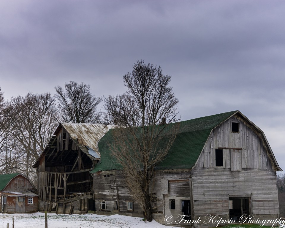 Nikon D7100 - 35mm (f/1.8G): 1/2000 sec @ f/1.8 - ISO 100