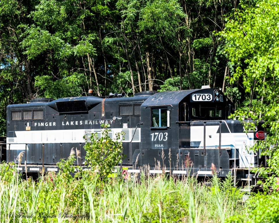 I found No. 1703 Finger Lakes Railway engine along with its sister engine No. 1701 on a storage siding along Route 20 In Geneva, NY.