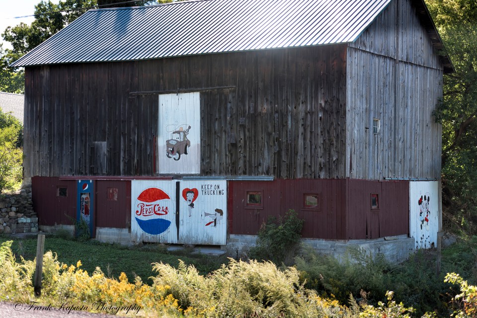 D750: Nikon 70-200mm @ 70mm - 1/350 Sec @ f/2.8 - ISO 100