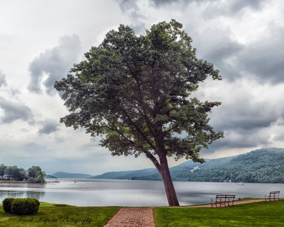 A lone sentry overlooking the southern most tip of Otsego Lake, behind the Otesaga Hotel in Cooperstown, NY.